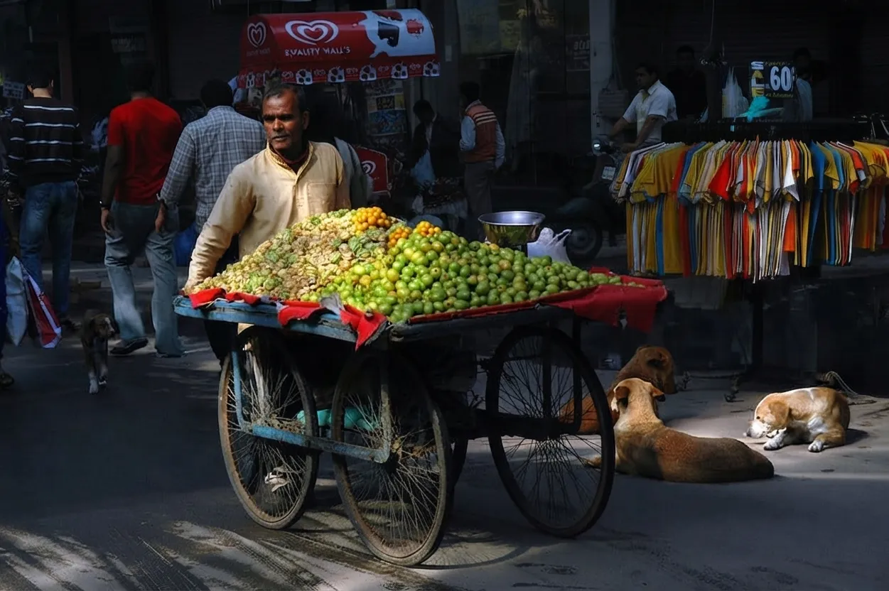 KP Passes Street Vendors Protection Bill 2026: Digital Registration and QR-Coded Certificates Introduced
