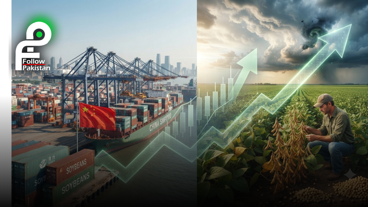 Soybeans set for fourth weekly gain on China demand, US weather concerns